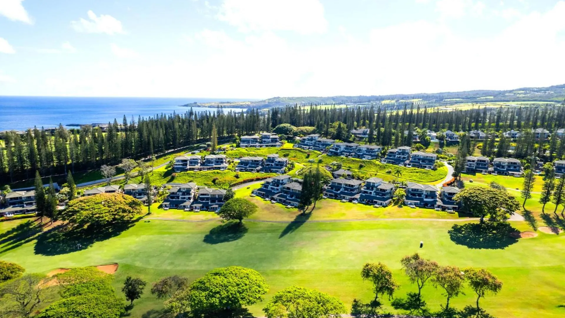 Spacious 8-Bedroom Kapalua Golf Collection - Multi Unit Listing - Same Enclave - Golf Course Views - 4 Free Rental Cars Kgv-14P314P614V314T6