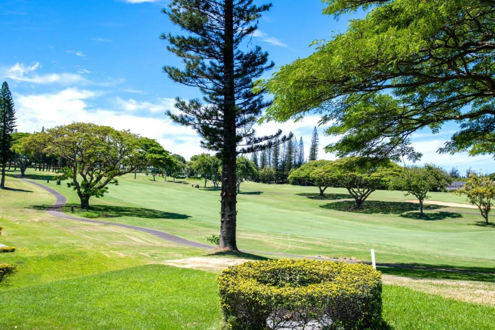 Spacious 8-Bedroom Kapalua Golf Collection - Multi Unit Listing - Same Enclave - Golf Course Views - 4 Free Rental Cars Kgv-14P314P614V314T6