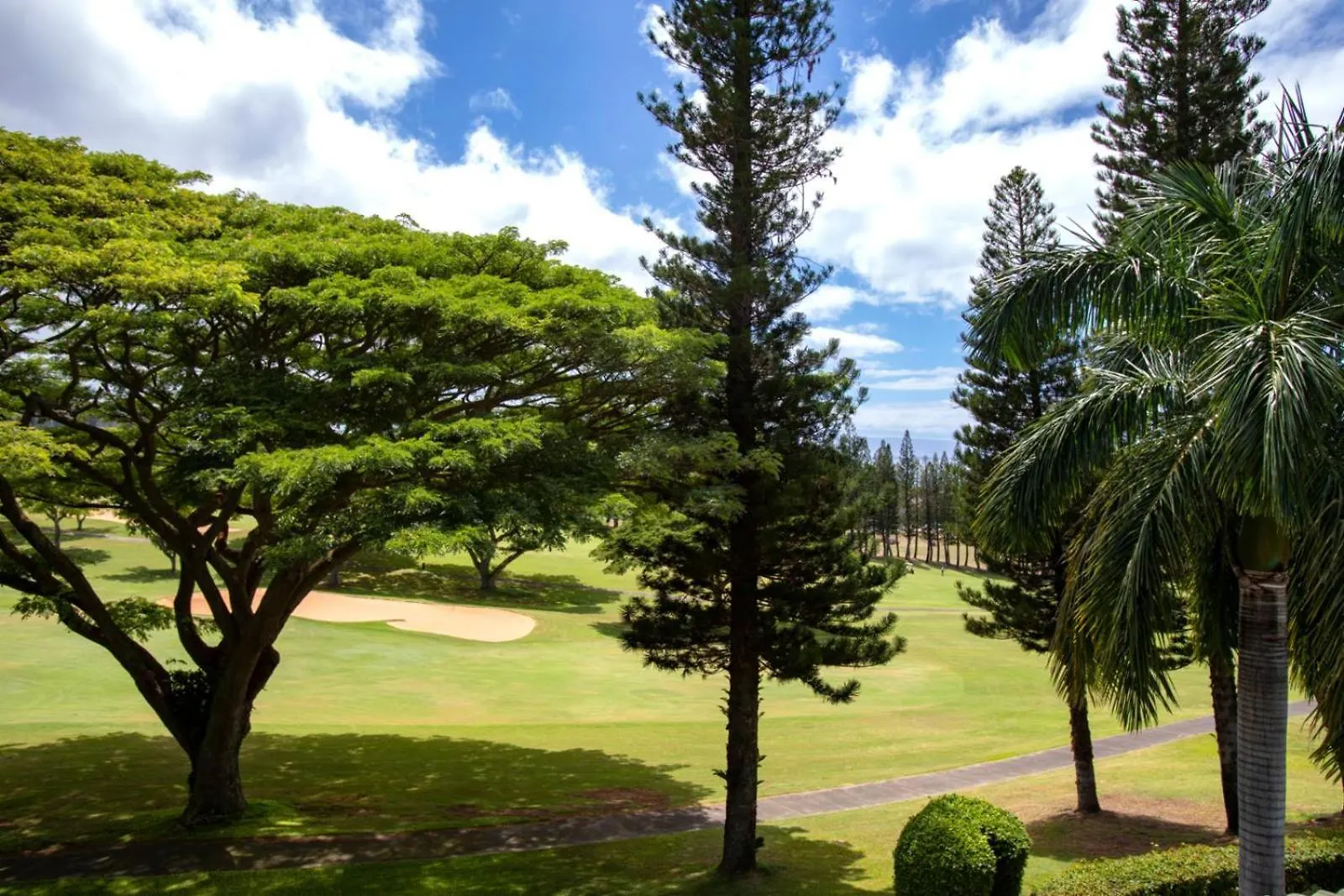 아파트 Spacious 8-Bedroom Kapalua Golf Collection - Multi Unit Listing - Same Enclave - Golf Course Views - 4 Free Rental Cars Kgv-14P314P614V314T6