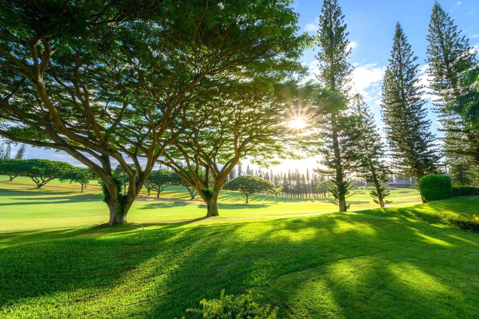Spacious 8-Bedroom Kapalua Golf Collection - Multi Unit Listing - Same Enclave - Golf Course Views - 4 Free Rental Cars Kgv-14P314P614V314T6 아파트